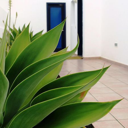Villas Puerto Rubicon Playa Blanca (Lanzarote) Exterior foto