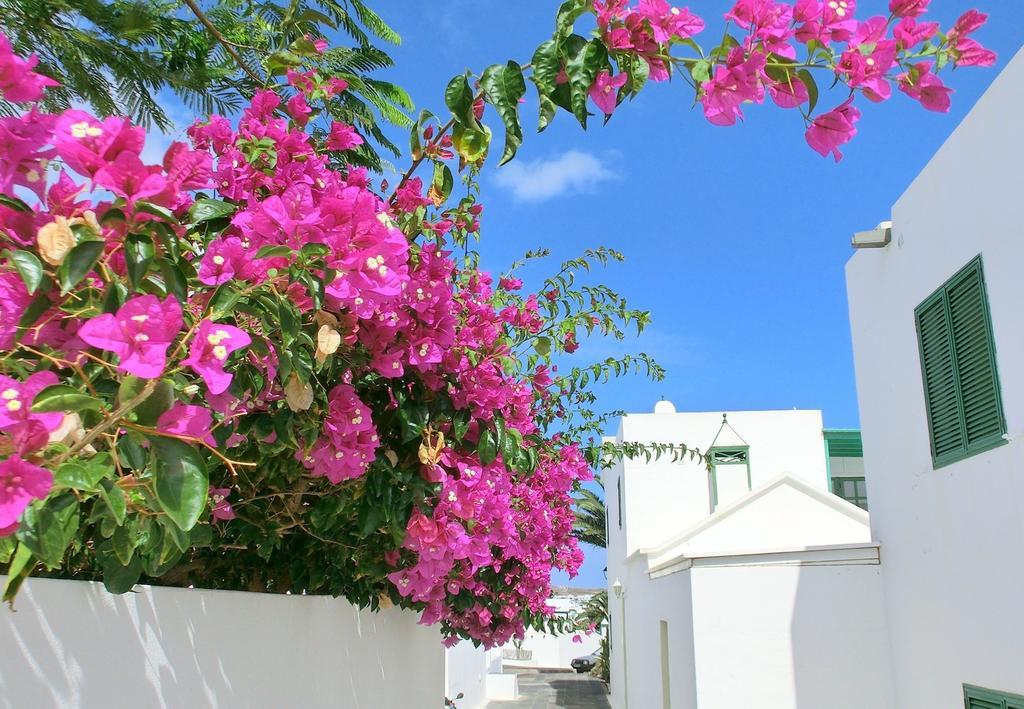 Villas Puerto Rubicon Playa Blanca (Lanzarote) Exterior foto