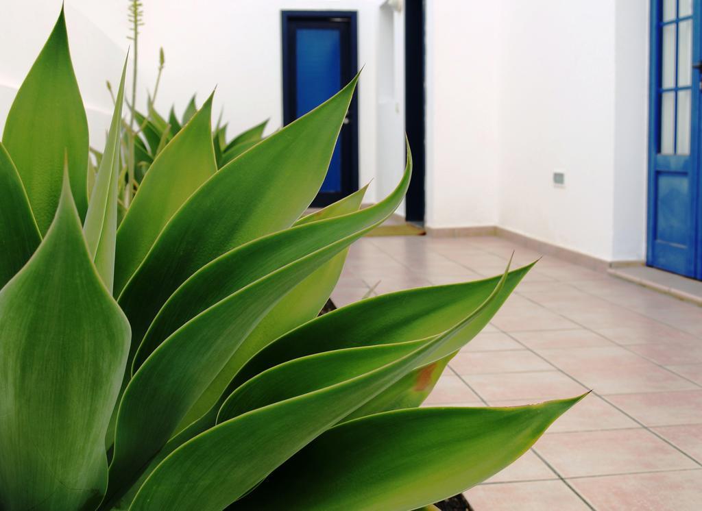 Villas Puerto Rubicon Playa Blanca (Lanzarote) Exterior foto